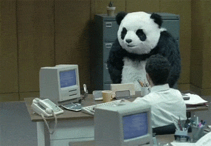 bamboo flooring panda