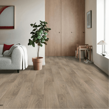 Patara - 8mm Laminate Flooring - Tokyo Oak